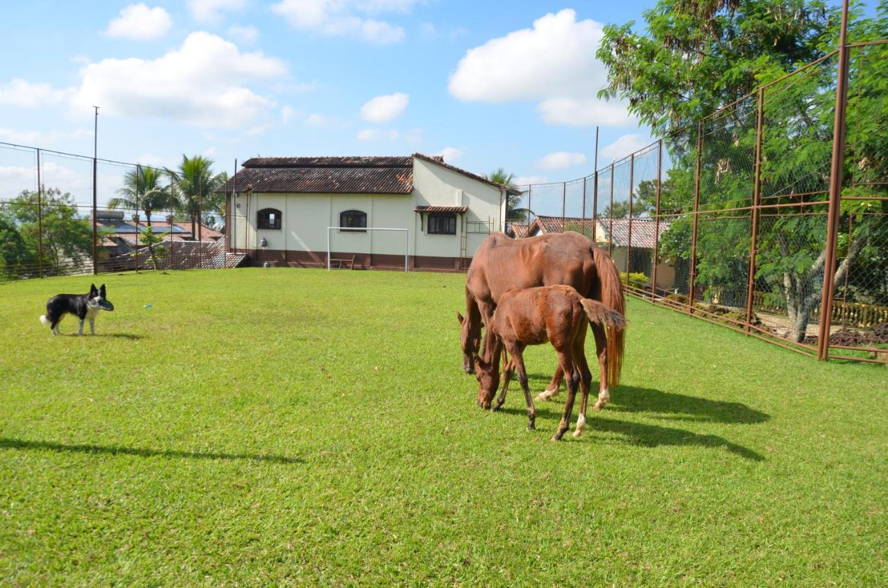 Pousada Nossa Senhora Пенеду Экстерьер фото A horse farm in the city